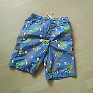💲1⃣▶▶Boys Tropical Toucan Print Swim Shorts in Blue